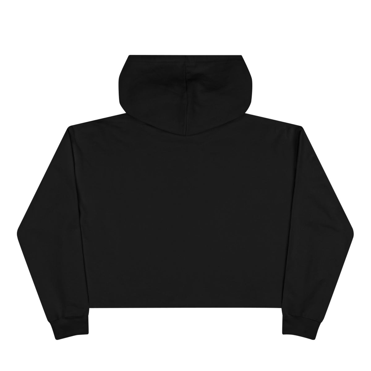 Dragon Rider Crop Hoodie — "I Summoned a Dragon and I Liked It" Graphic