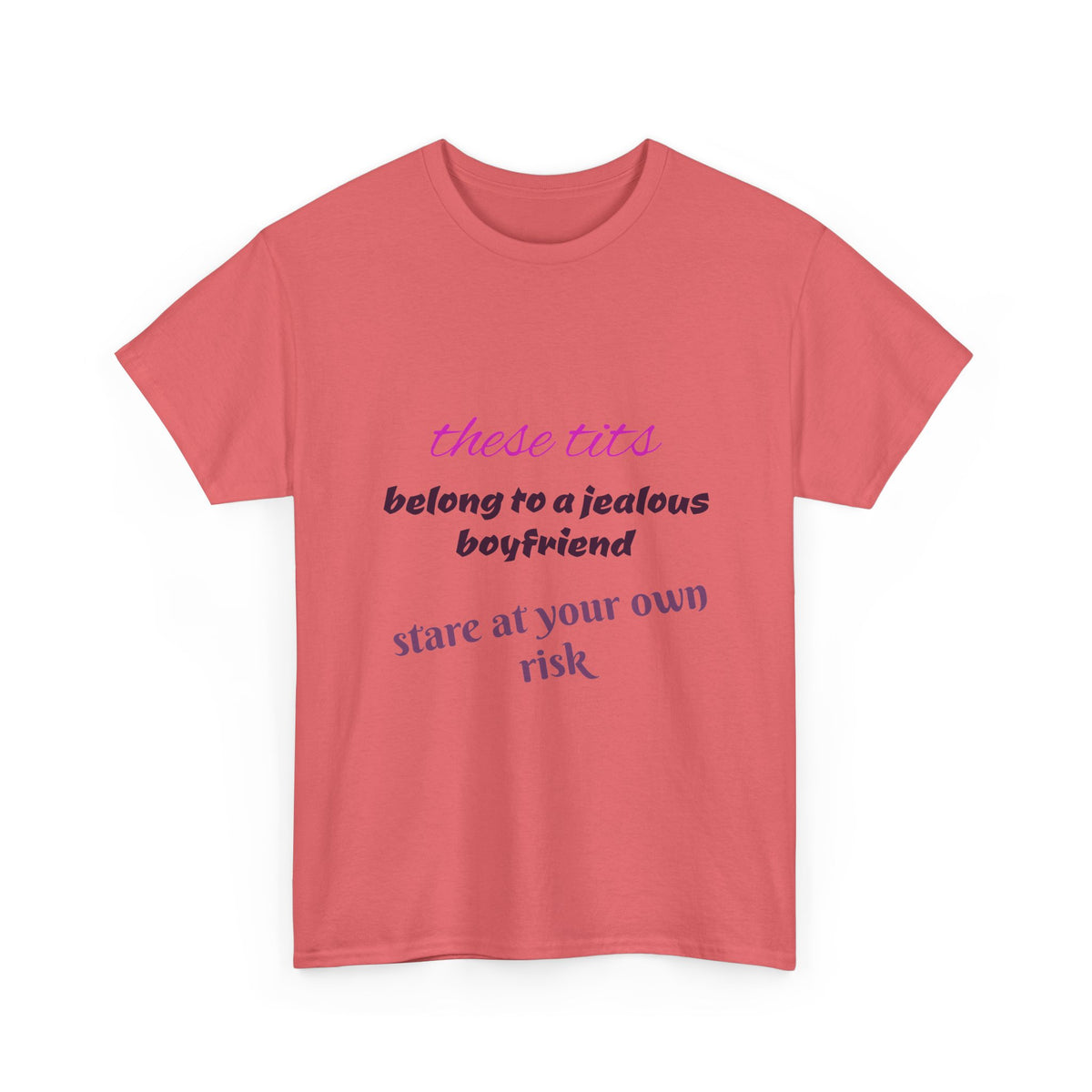 Graphic Tee — “These Tits Belong to a Jealous Boyfriend” Funny Statement Shirt