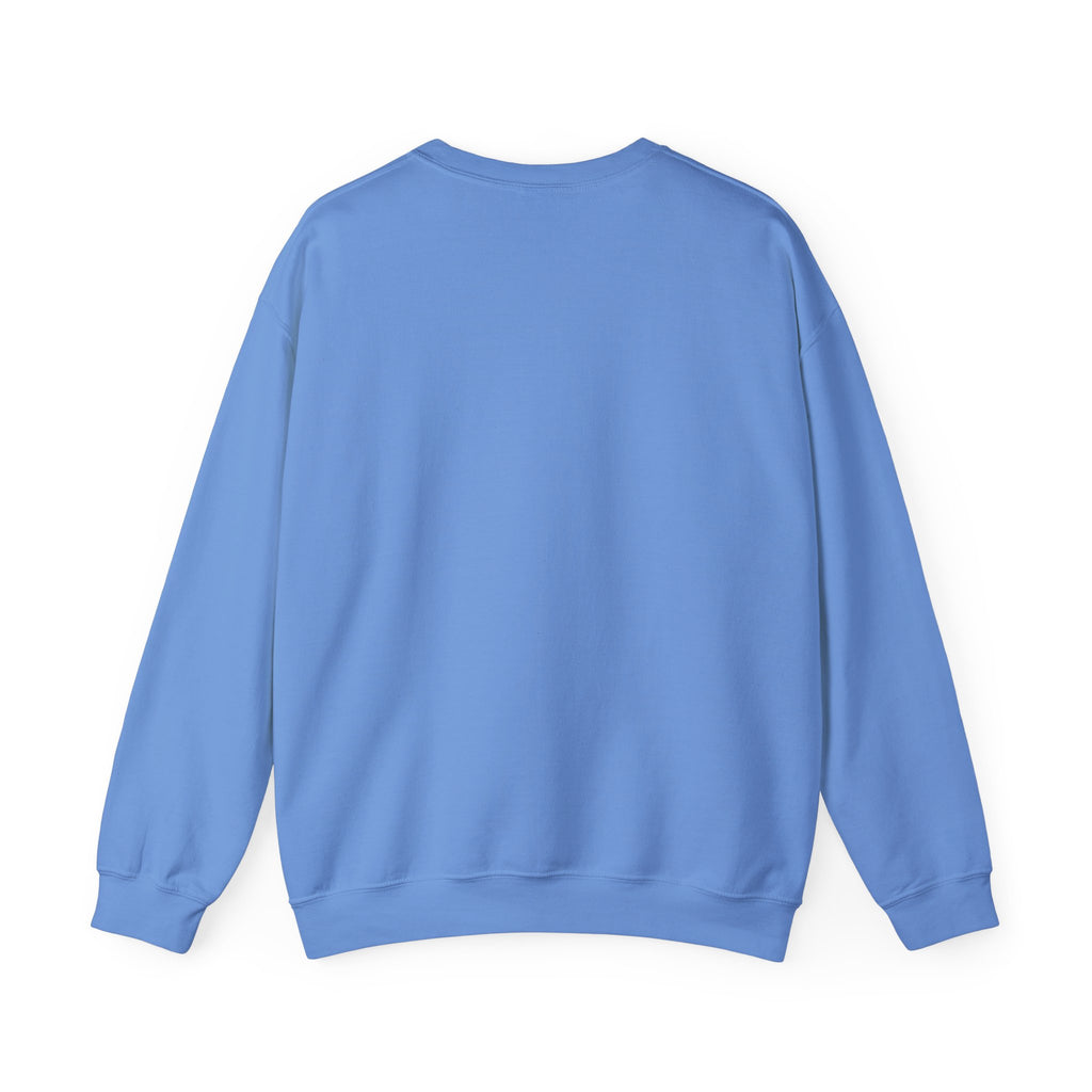 Sweatshirt - "Everyone Has the Right to Be Stupid" Bold Graphic Crewneck