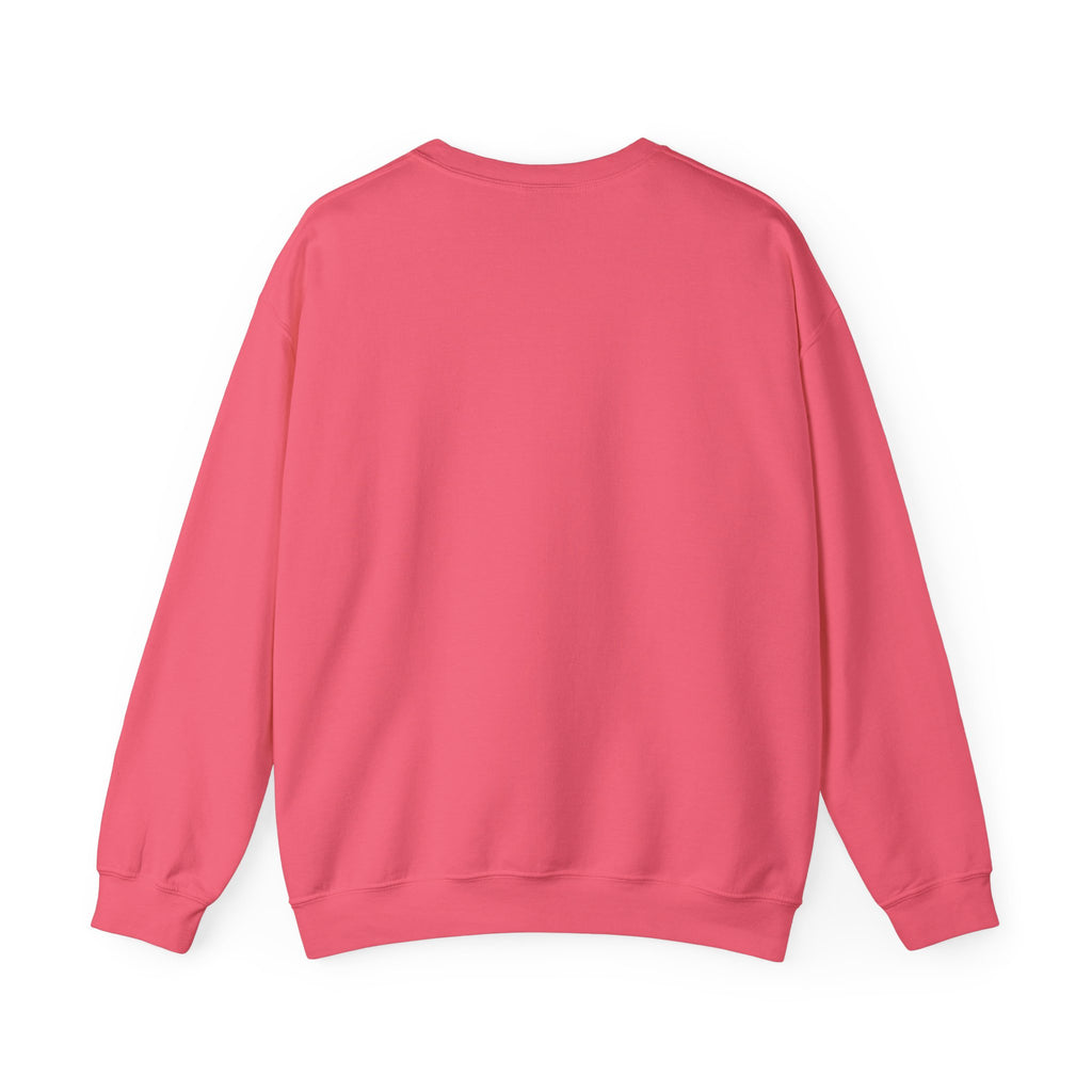 Sweatshirt - "Everyone Has the Right to Be Stupid" Bold Graphic Crewneck