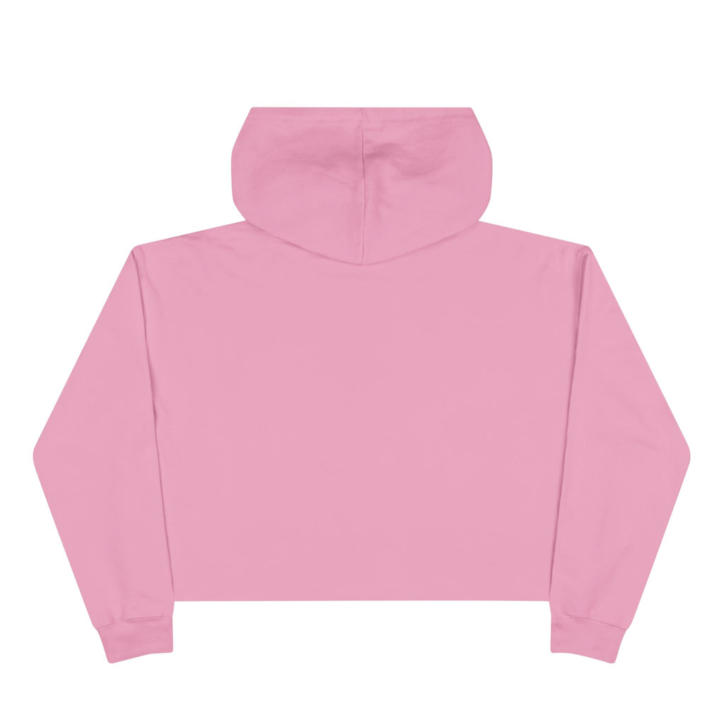 Dragon Rider Crop Hoodie — "I Summoned a Dragon and I Liked It" Graphic