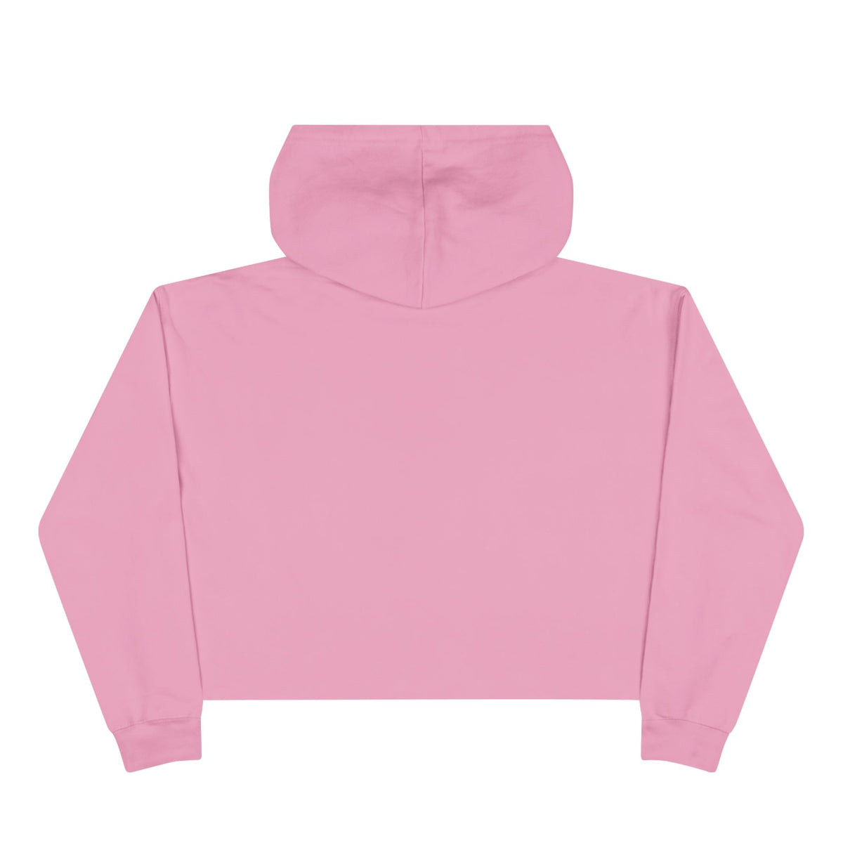 Dragon Rider Crop Hoodie — "I Summoned a Dragon and I Liked It" Graphic