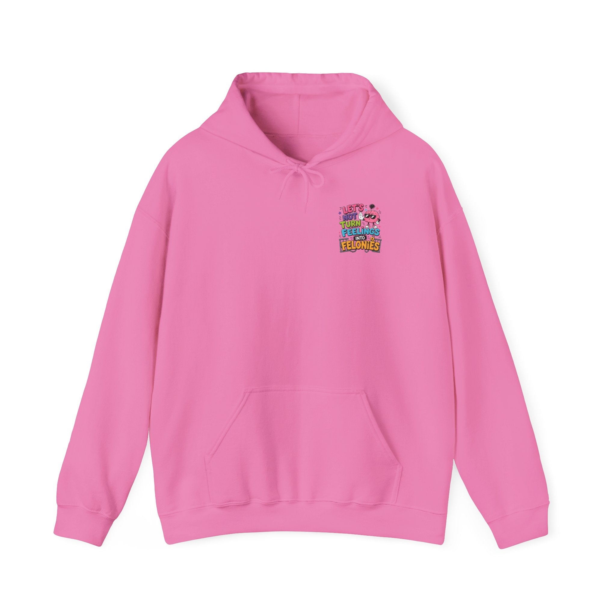 Let’s Not Turn Feelings Into Felonies Hoodie